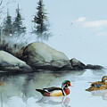 Wood Duck couple